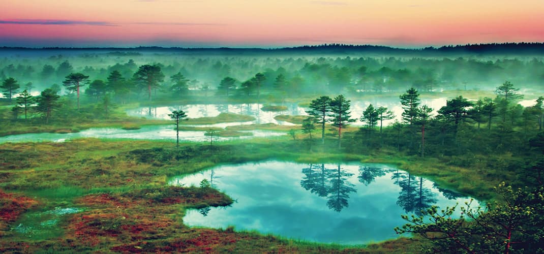 Baltics city breaks