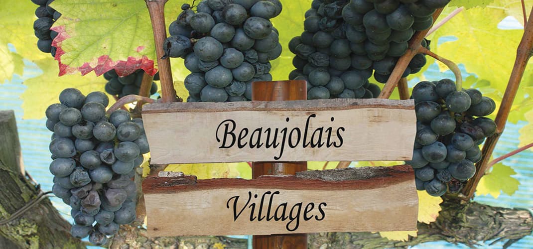 Beaujolais Village, Lyon, France