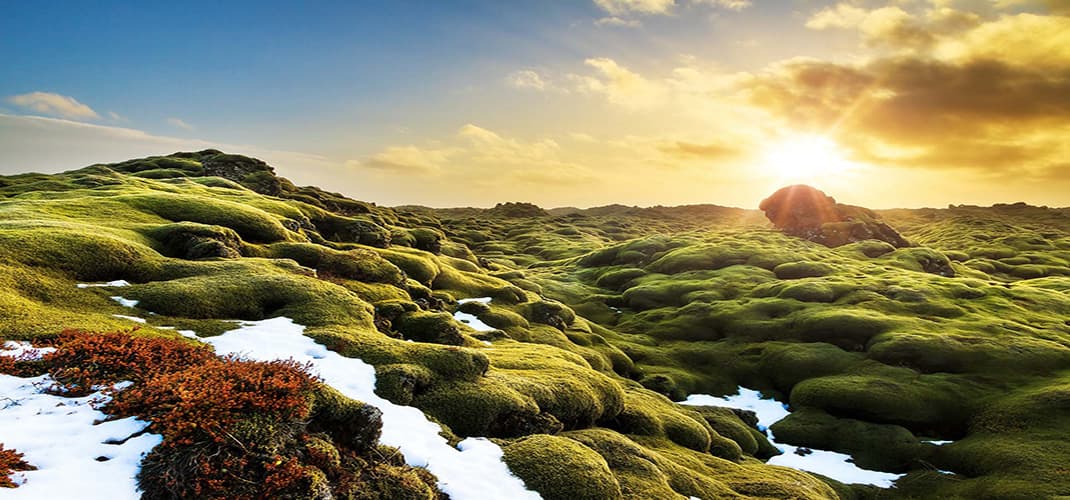 Eldraun, Iceland