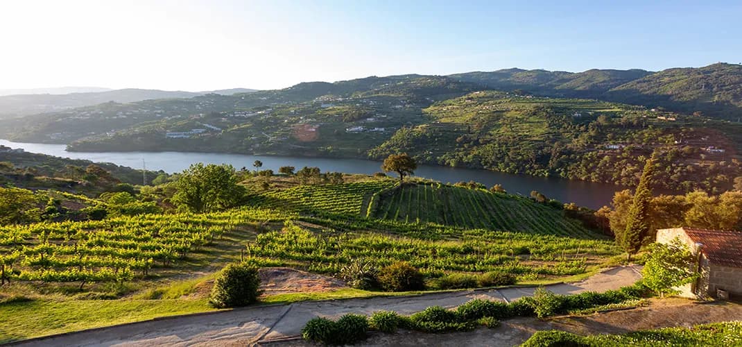 Douro Valley River in the Baião Region, Portugal